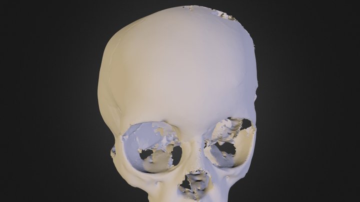 C B R- A2- B19 3D Model