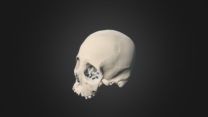 JRH F5 SA 3D Model